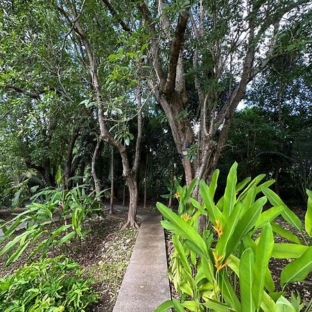 Gwada Reves Villa Sainte-Anne  Kültér fotó