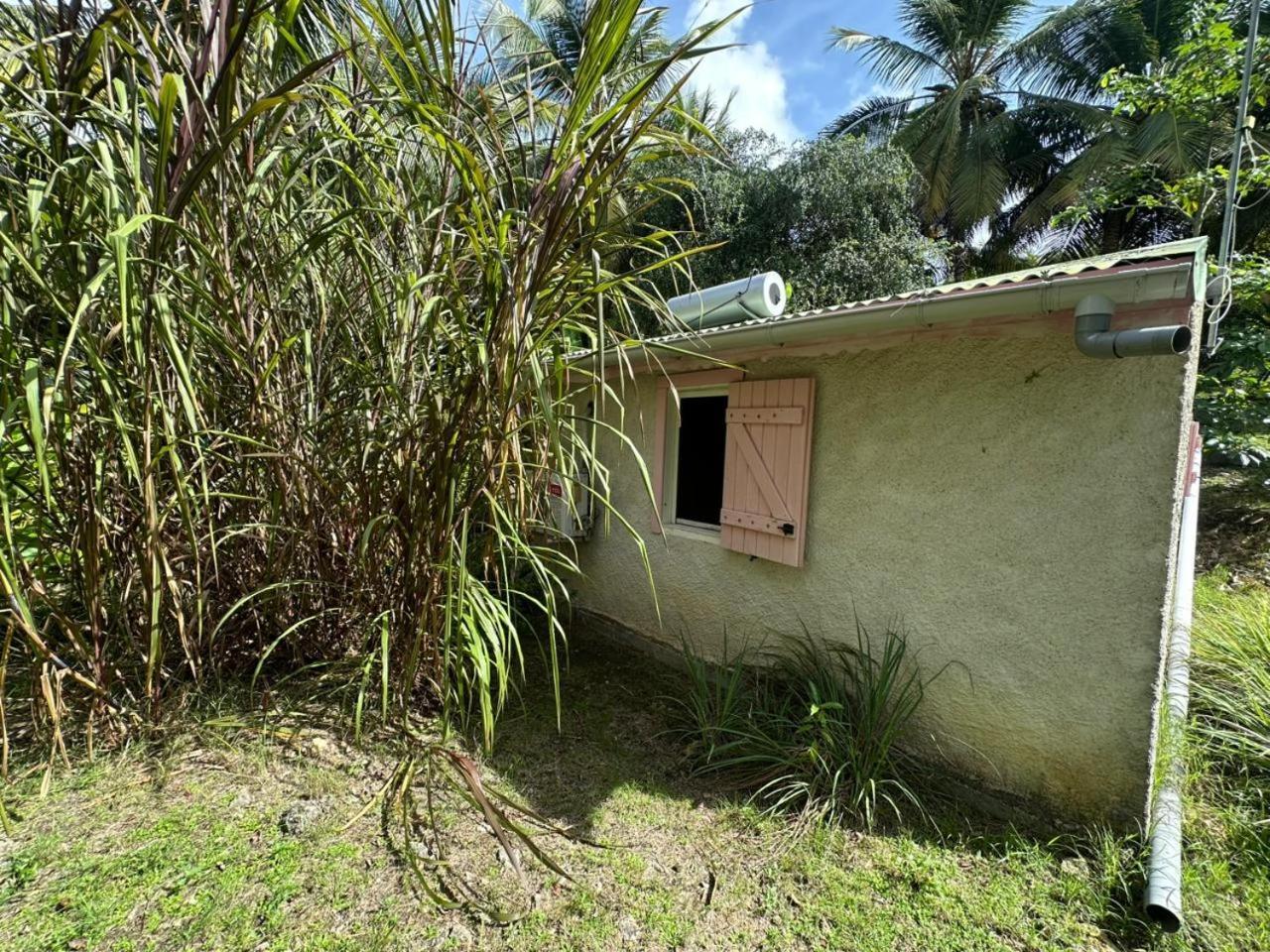 Gwada Reves Villa Sainte-Anne  Kültér fotó