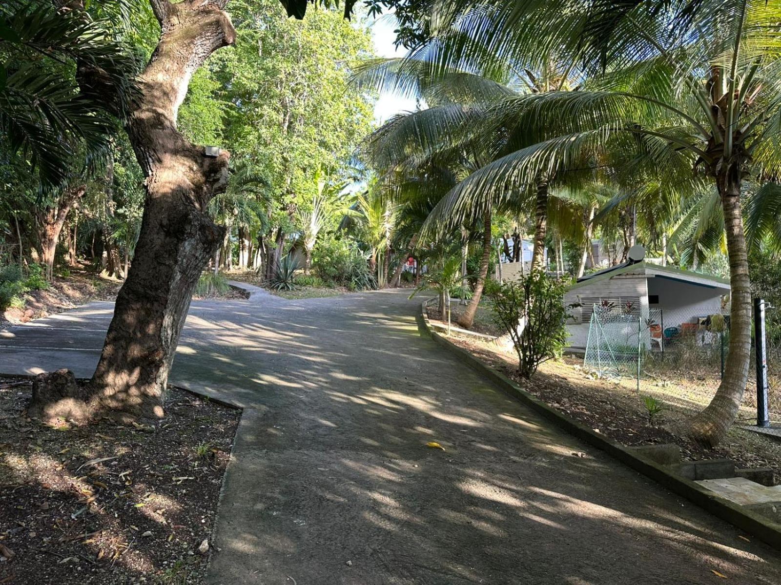 Gwada Reves Villa Sainte-Anne  Kültér fotó