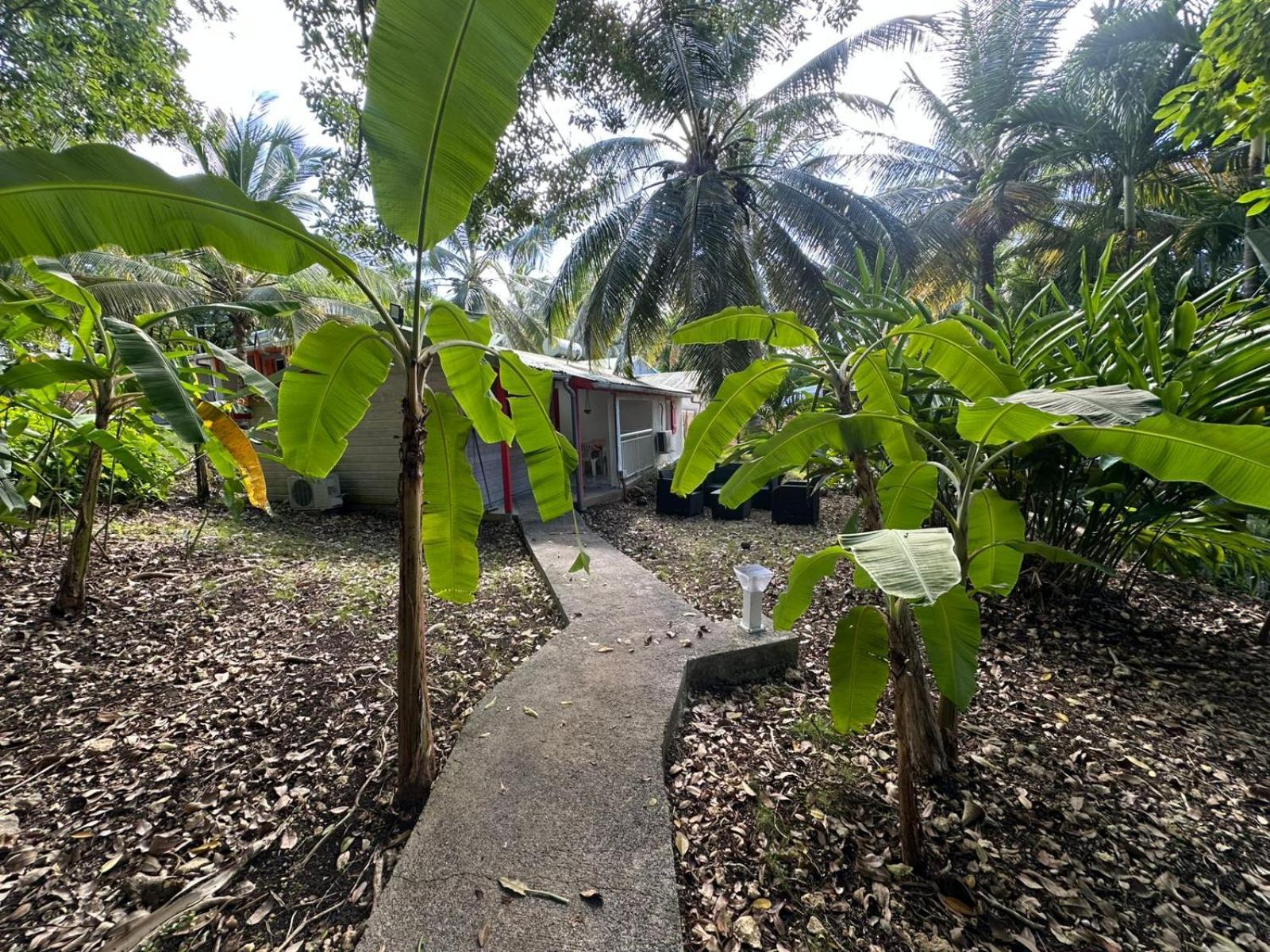 Gwada Reves Villa Sainte-Anne  Kültér fotó
