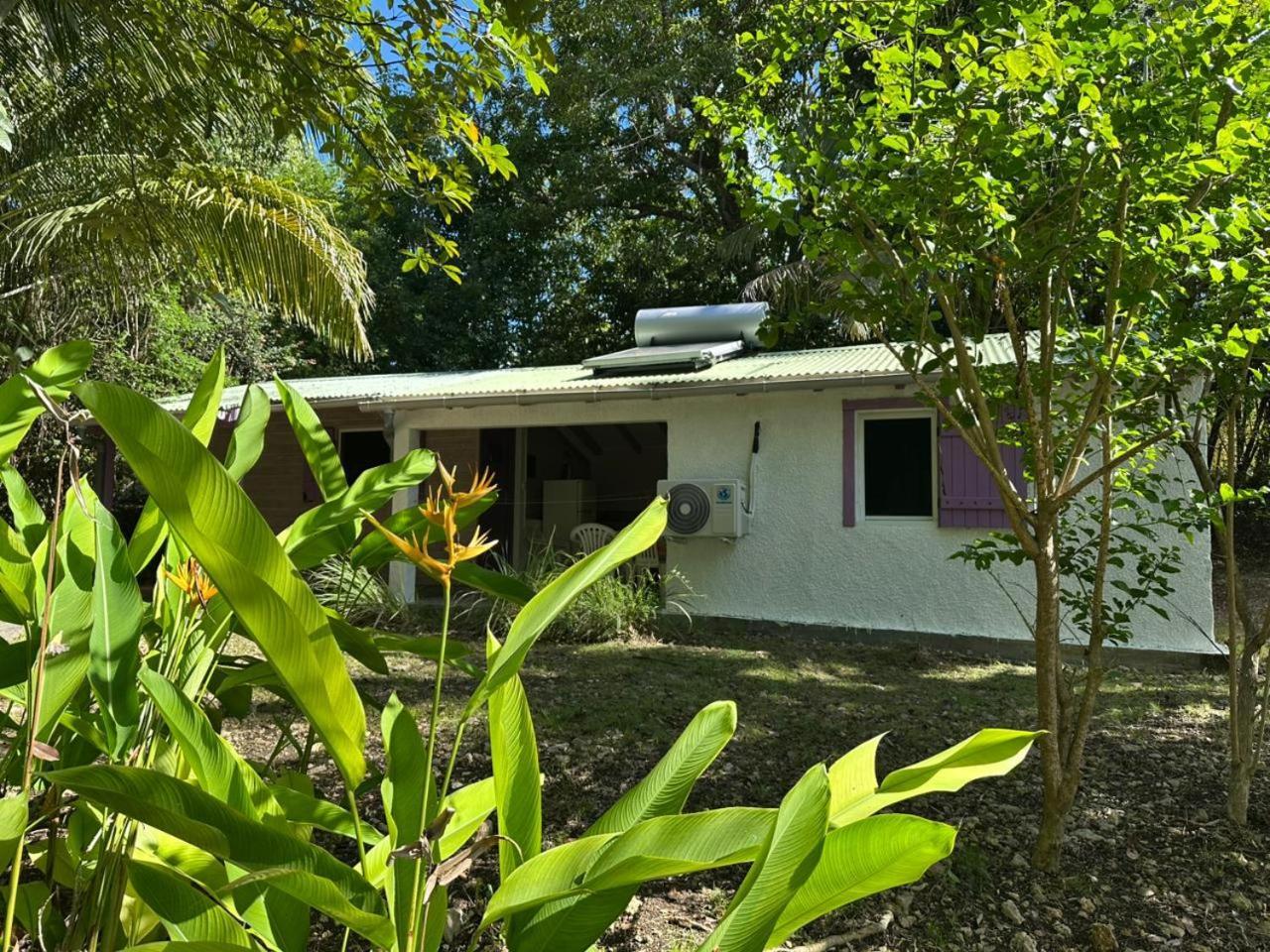 Gwada Reves Villa Sainte-Anne  Kültér fotó
