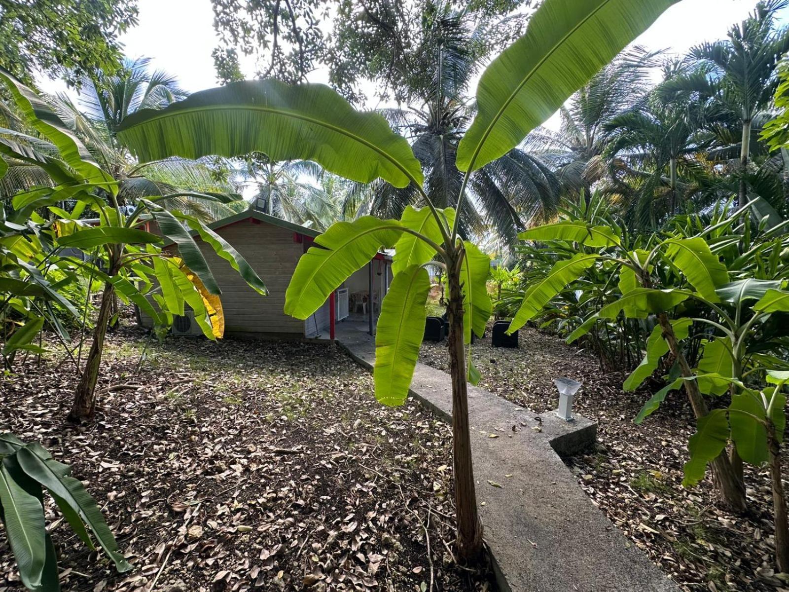 Gwada Reves Villa Sainte-Anne  Kültér fotó