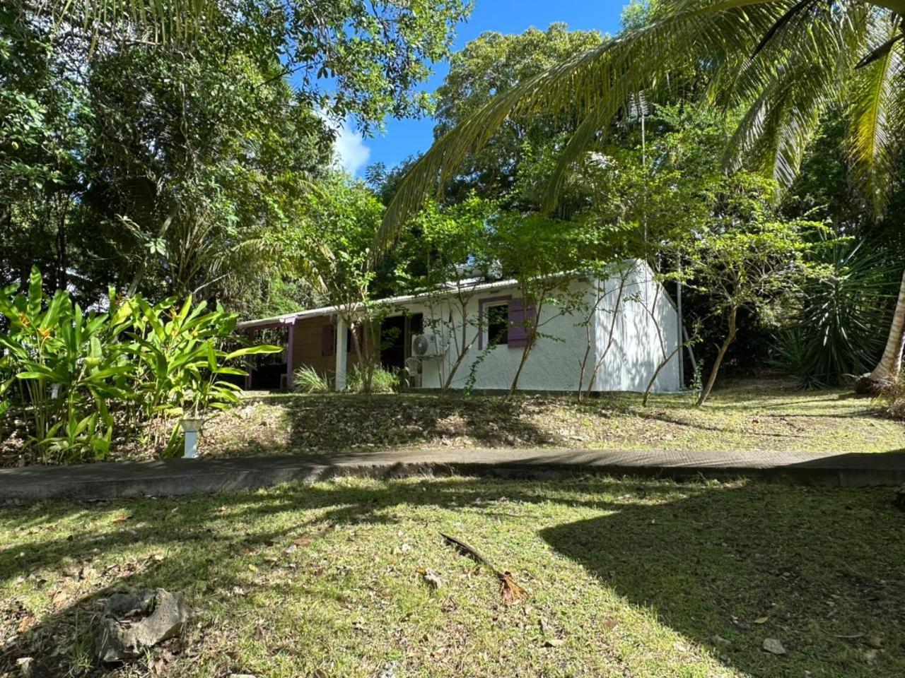 Gwada Reves Villa Sainte-Anne  Kültér fotó